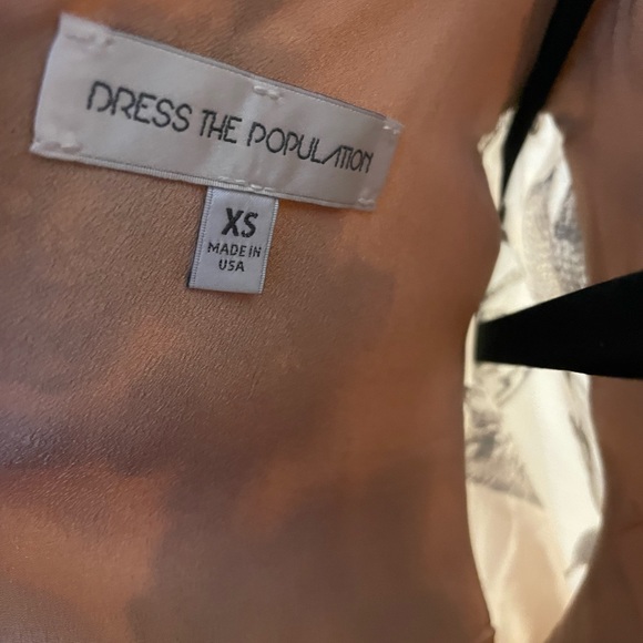 Dress the Population Paige Nude Sheath Dress Silver Embroidery - Picture 10 of 11